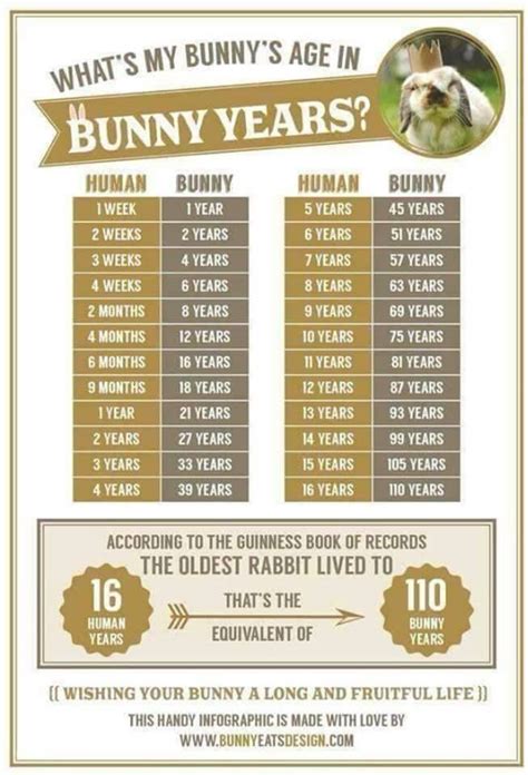  Age of Brittney Bunny: How Old is She?