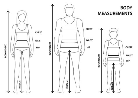  Height and Body Measurements 