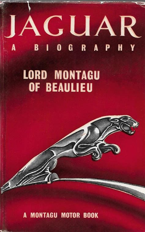 A Glimpse into Jagg The Jaguar's Biography