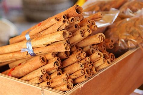 A Glimpse into the Fascinating Life of Cinnamon Dream