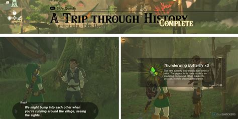 A Journey through Zelda Hunt's Influential Career