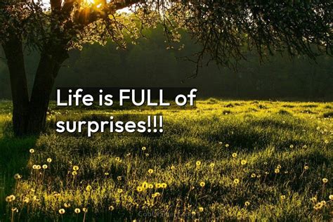 A Life Full of Surprises