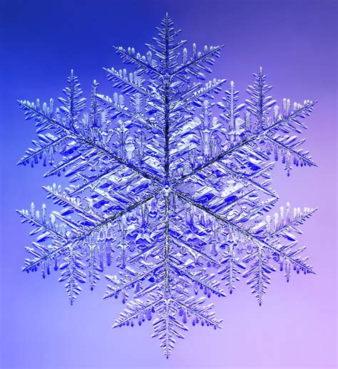 A Snow Crystal Unlike Any Other: Exploring the Enigma of Snowflake's Distinctiveness