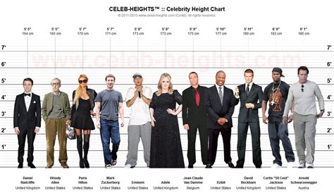 A Versatile Celebrity: Age, Height, Figure, and Financial Status