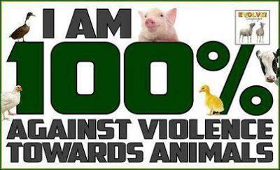 Advocacy for Animal Rights and Embracing a Vegan Lifestyle