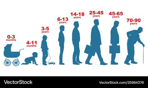 Age and Life Stage of Saki Michishige