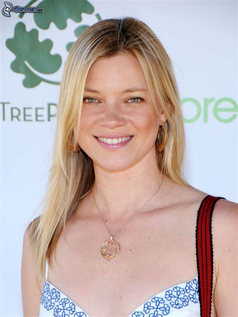 Amy Smart's Acting Journey - From the Small Screen to Tinseltown