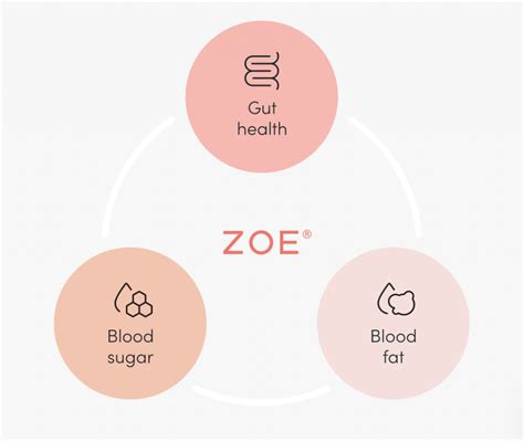 An Insight into Zoe Love's Fitness Regimen and Dietary Habits