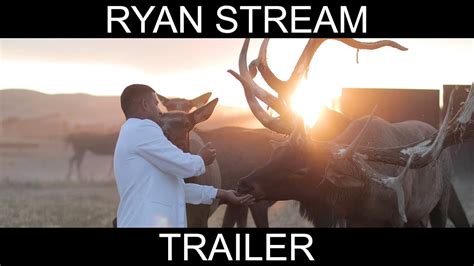 Biographical Background of Ryan Stream