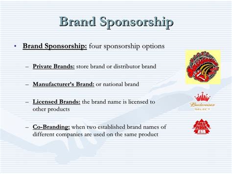 Brand Sponsorships and Collaborations