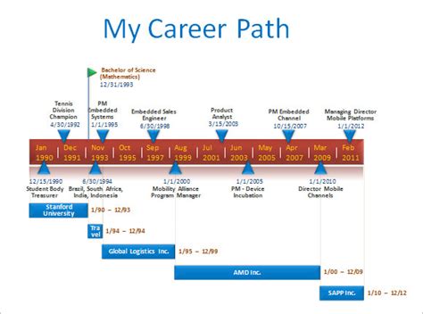 Career Path: Milestones and Achievements