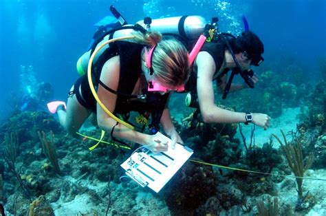 Career and Contributions in the Field of Marine Biology