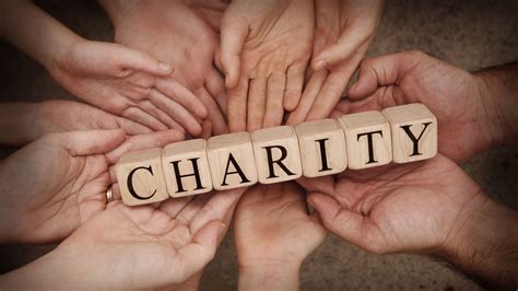 Charitable work and activism
