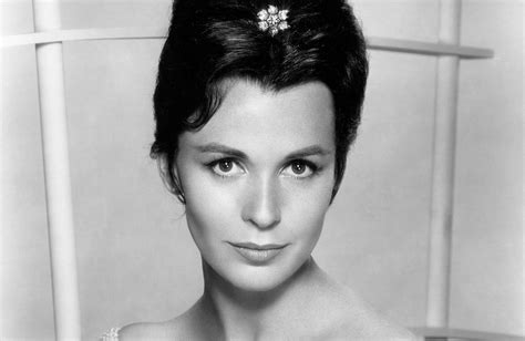 Claire Bloom Biography: An Insight into the Life of a Remarkable Actress