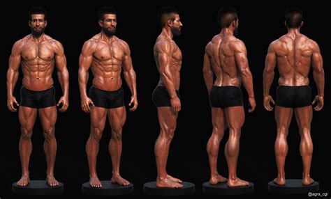Decoding Perfection: The Anatomy of Aj's Exemplary Physique