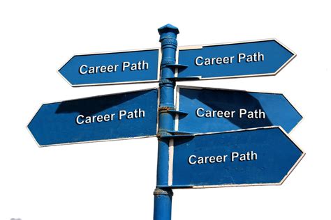 Education and Career Path