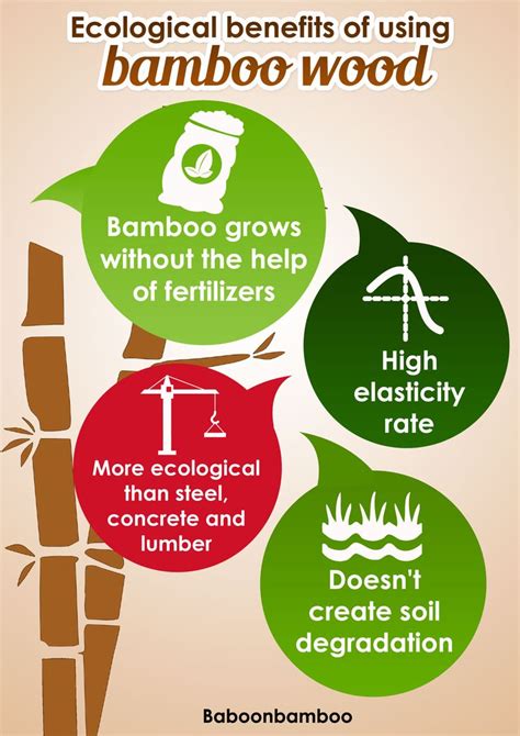 Embracing Sustainability: Bamboo's Contribution to the Environment