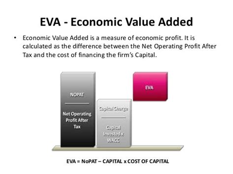 Eva Virgin's Financial Success and Overall Wealth