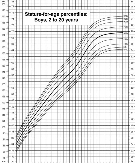 Exploring Details About Age and Stature