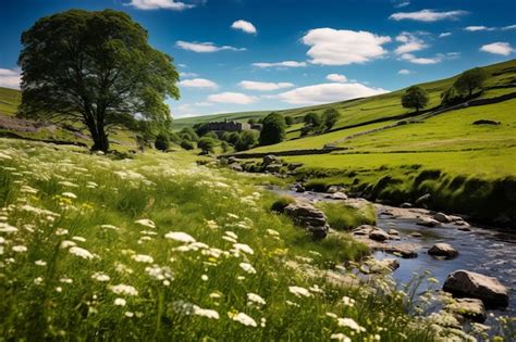 Exploring the Enigmatic Journey of the Enchanting Summer Meadows