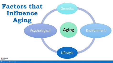 Exploring the Factors that Influence the Process of Aging