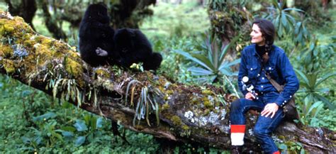 Exploring the Journey of Daisy Fossey