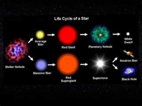 Exploring the Physical Characteristics of the Star