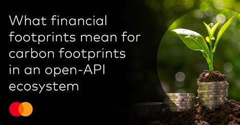 Financial Footprints: Tracing Earnings