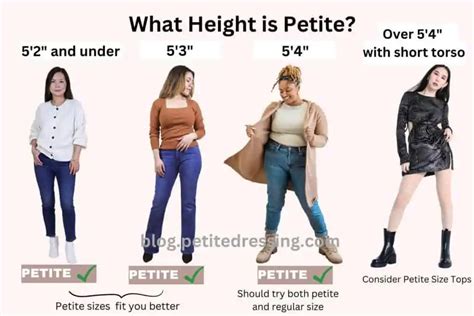 From Petite to Tall: Sarah Arnold's Height and Figure