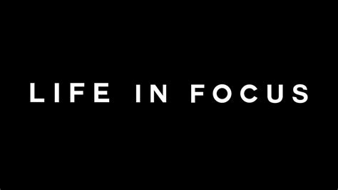 Gillian Bee: A Life in Focus