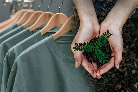 Green is the New Black: Pioneering Sustainable Fashion Labels Shaping the Industry