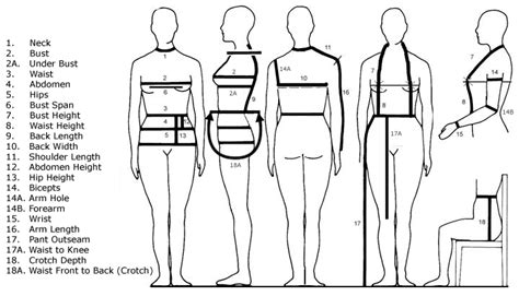 Height, Figure, and Fashion Sense