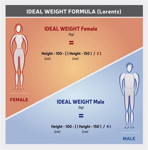 Height, Figure, and Lifestyle