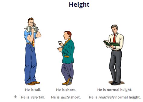 Height: A Noteworthy Physical Trait