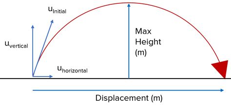 Height: A vertical advantage