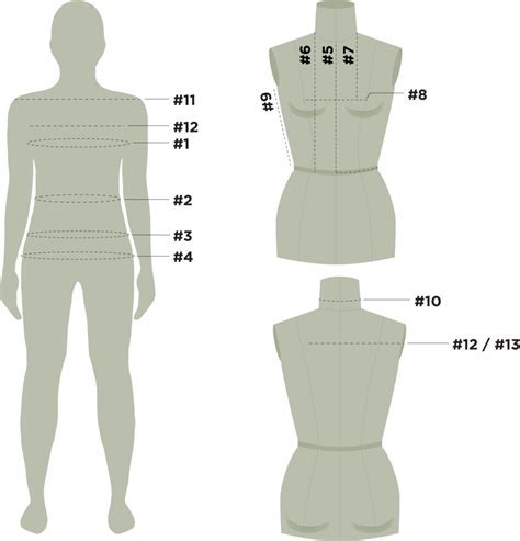 Height: Achieving the Ideal Proportions for Modeling