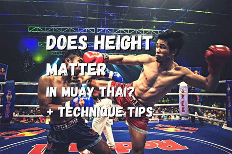 Height Matters: How Tall is Noody Thai?