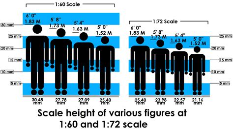 Height and Figure: