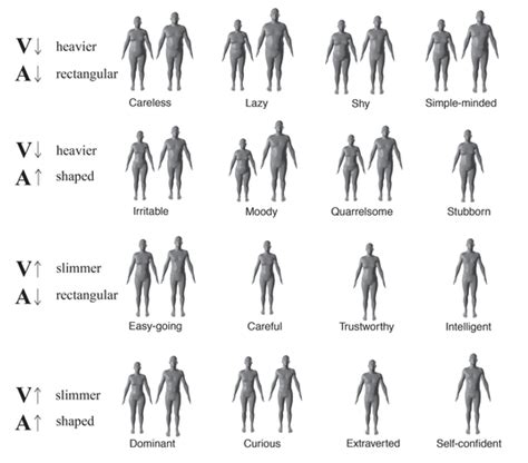 Height and Figure: Debunking Body Stereotypes