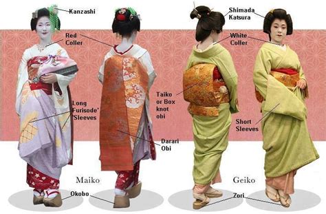 Height and Figure: Geisha Bee's Physical Appearance - A Unique Charm