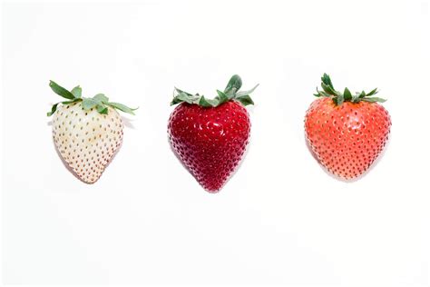 Height and Figure: Unveiling the Physical Traits That Make Strawberry Stand Out
