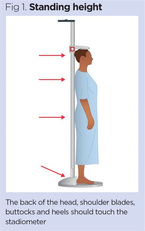 Height and Physical Measurements