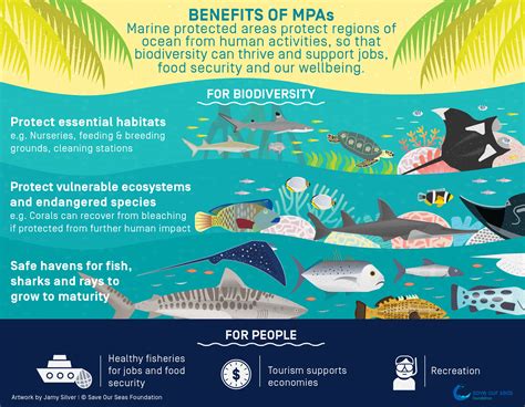 Impact and Influence on the Future of Marine Conservation