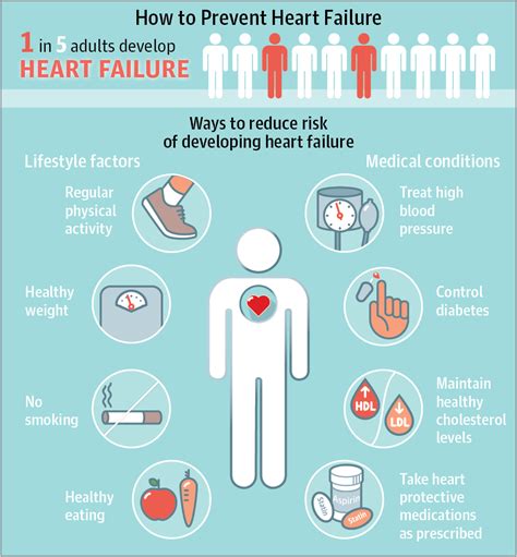 Improving Cardiovascular Health and Reducing the Risk of Heart Disease