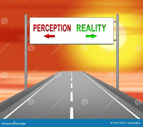 In the Limelight: Public Perception Versus Reality