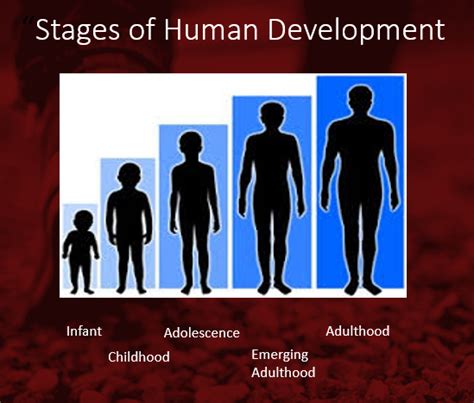 Journey from Adolescence to Adulthood