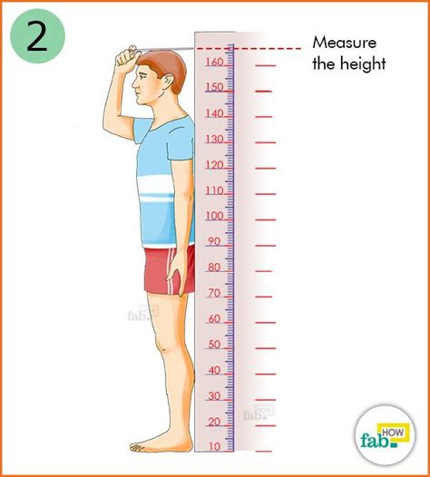 Measuring up: Age, Height, and Figure