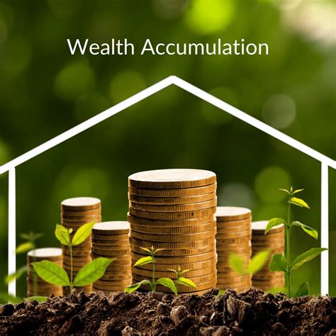 Net Worth and Wealth Accumulation