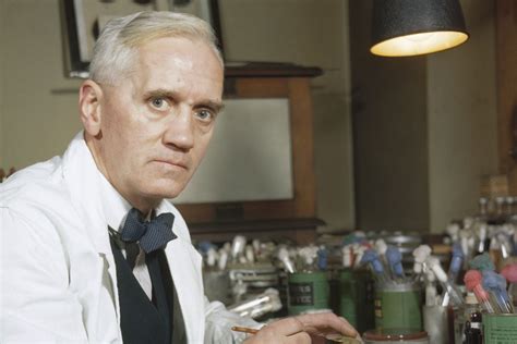 Other Contributions and Research Areas of Alexander Fleming: