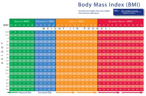 Personal Information: Age, Height, Figure